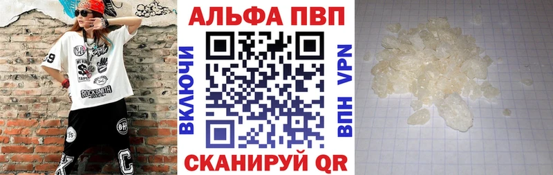 A PVP СК  Оренбург 