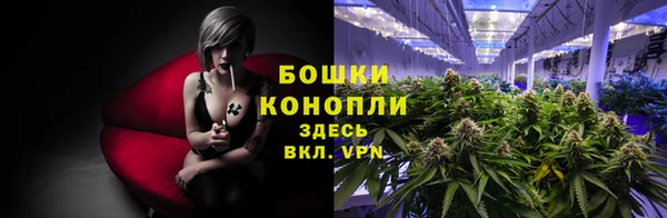 ГАЛЛЮЦИНОГЕННЫЕ ГРИБЫ Заволжье