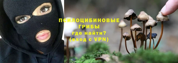 соль курить ск Заводоуковск
