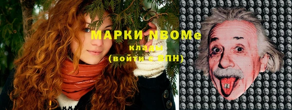ГАЛЛЮЦИНОГЕННЫЕ ГРИБЫ Заволжье