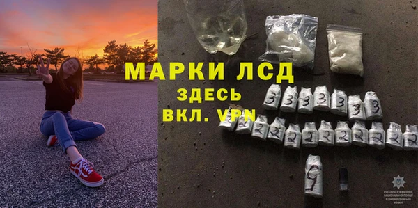 ГАЛЛЮЦИНОГЕННЫЕ ГРИБЫ Заволжье