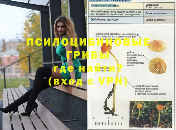 экстази Ельня
