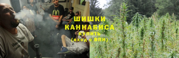 ГАЛЛЮЦИНОГЕННЫЕ ГРИБЫ Заволжье