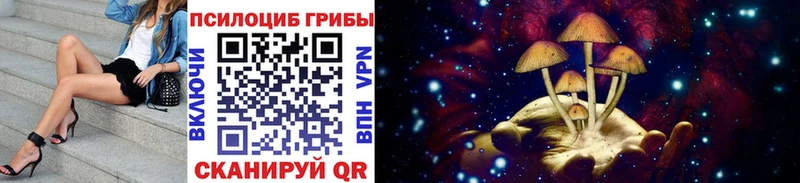 Галлюциногенные грибы GOLDEN TEACHER  купить закладку  гидра онион  Оренбург 