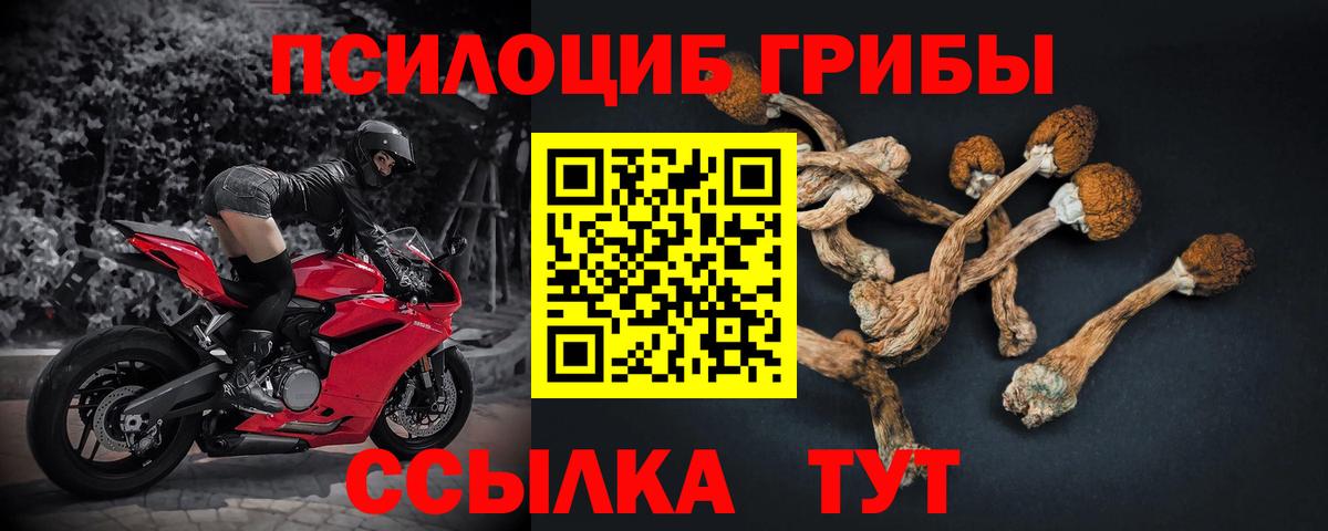 Оренбург  Псилоцибиновые грибы Magic Shrooms  Вход с VPN  Псилоцибиновые грибы GOLDEN TEACHER 